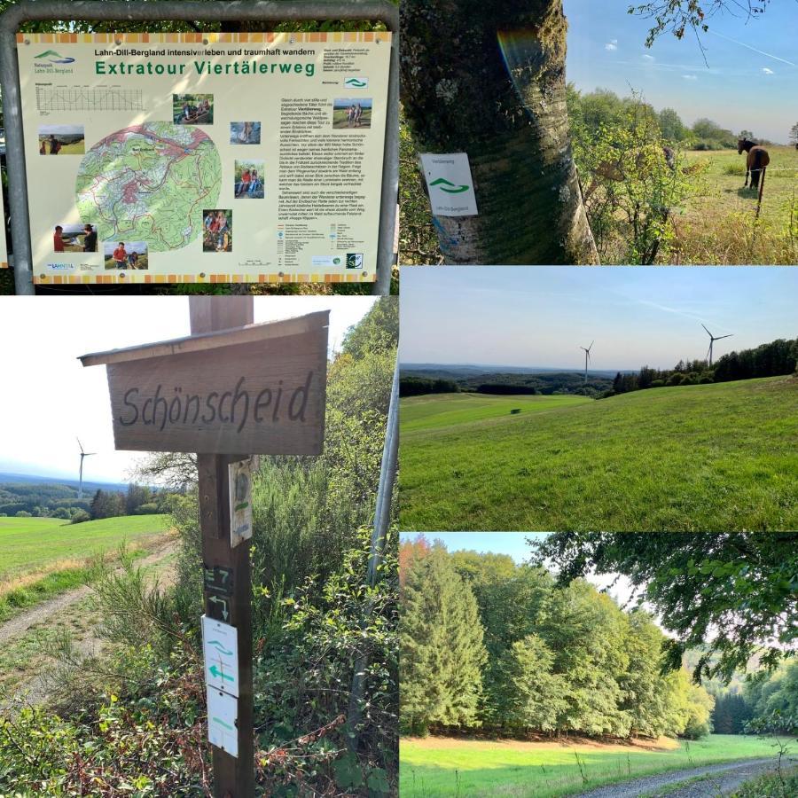 Apartmenthaus Ruhezeit Bad Endbach Exteriör bild