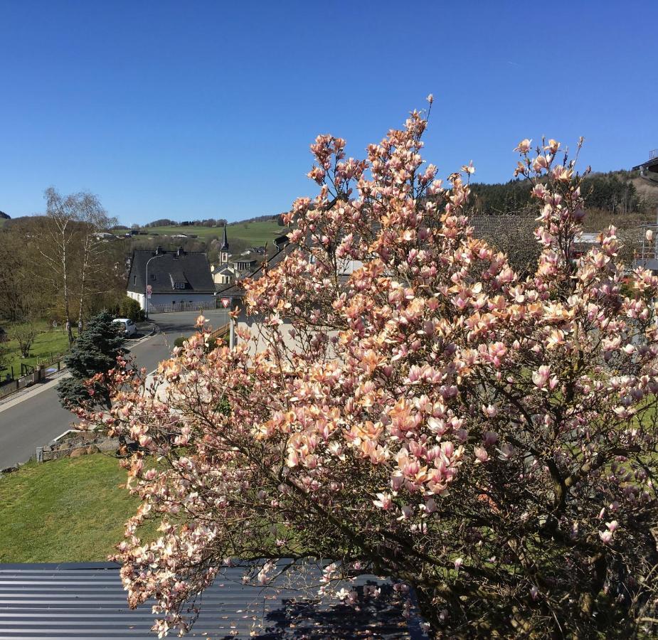 Apartmenthaus Ruhezeit Bad Endbach Exteriör bild